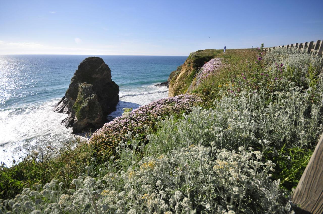 Surf View Apartment, Newquay New Quay Dış mekan fotoğraf